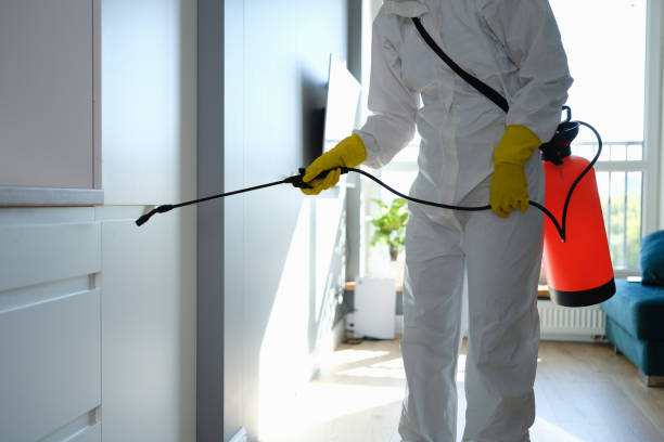 Best Seasonal Pest Control  in Fife Heights, WA